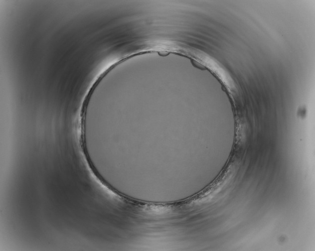 X0000101971095200808151332
