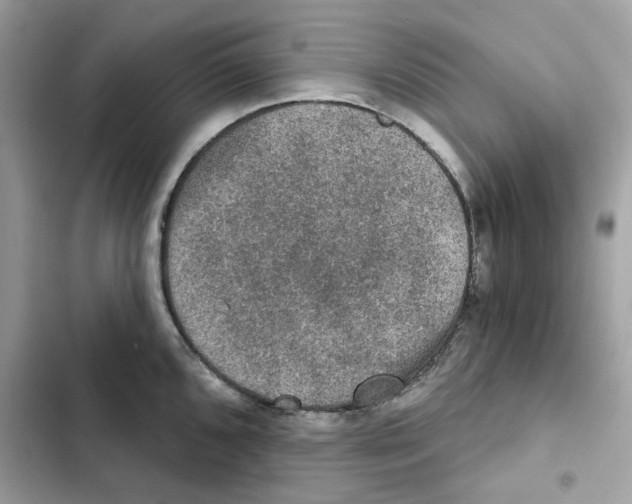 X0000101971096200808151332