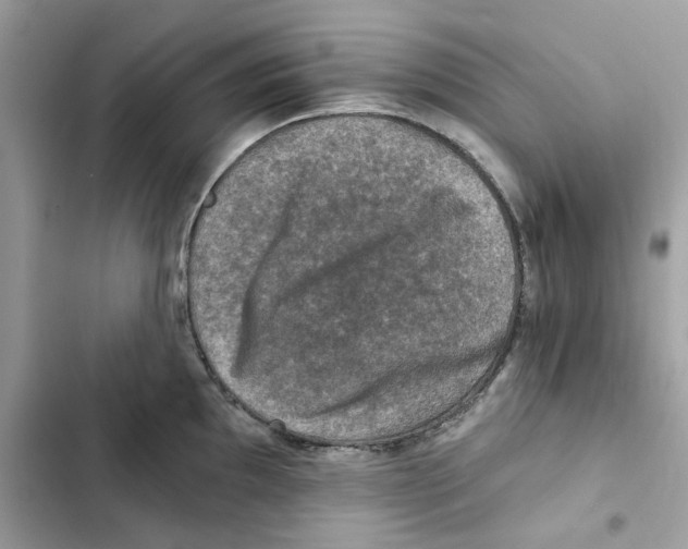 X0000101971097200808151332