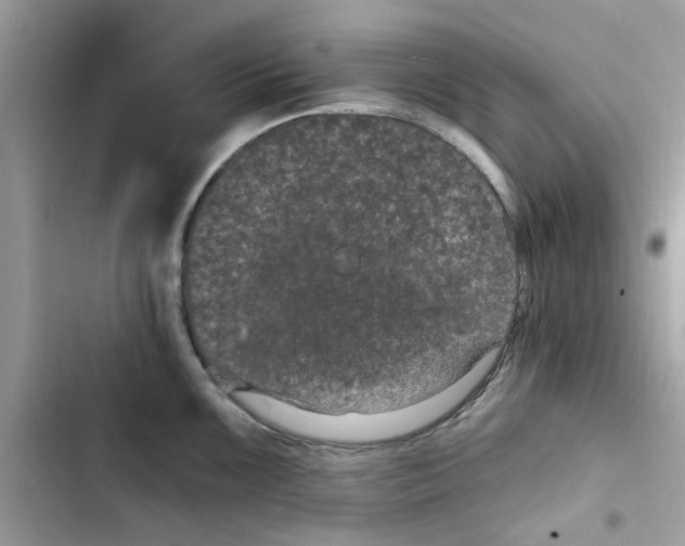 X0000101971099200808151332