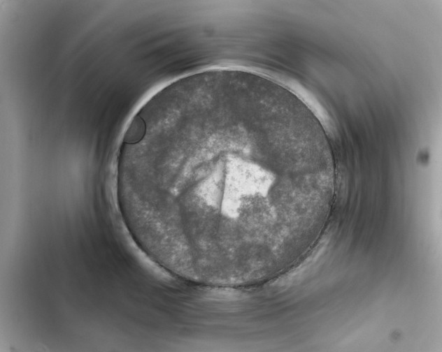 X0000101971100200808151332