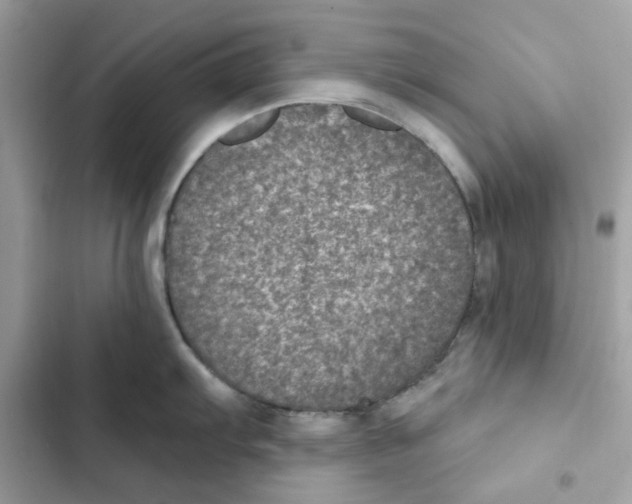 X0000101971103200808151332
