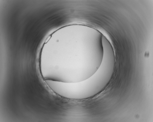 X0000101971104200808151332