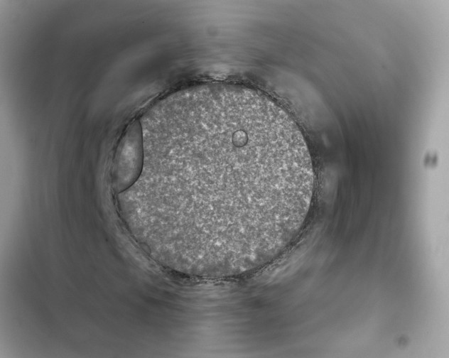 X0000101971105200808151331