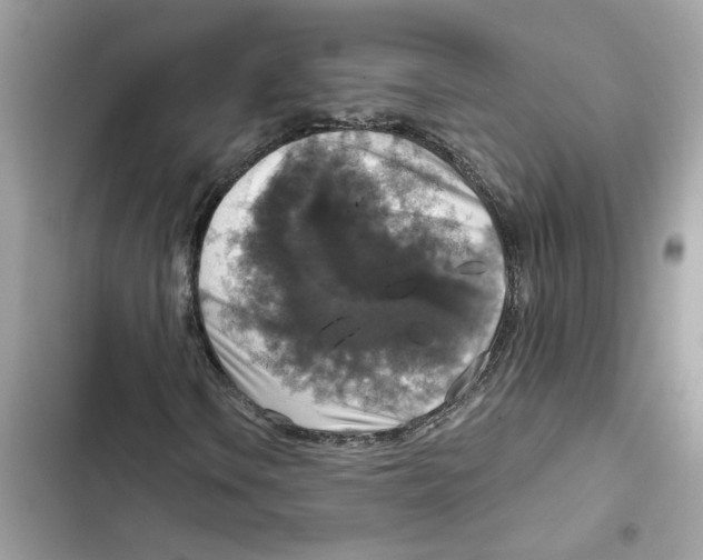 X0000101971106200808151331