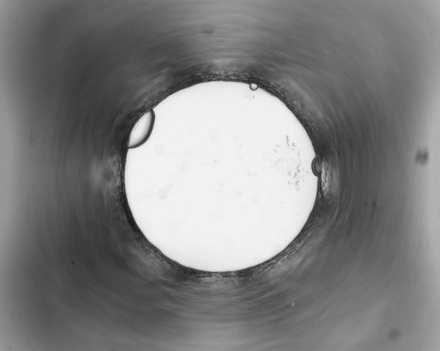X0000101971107200808151331