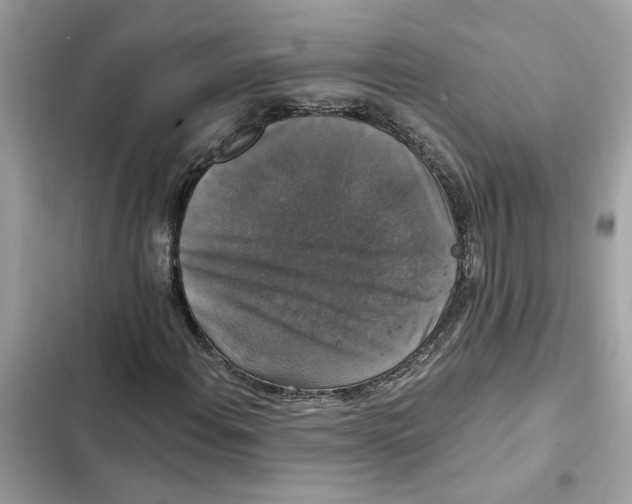 X0000101971108200808151331