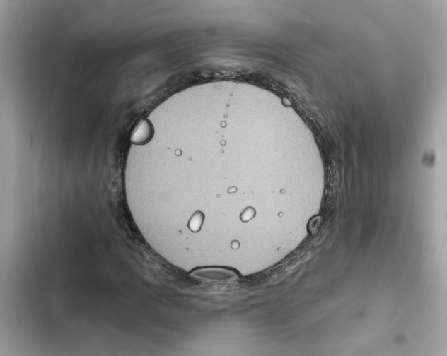 X0000101971109200808151331