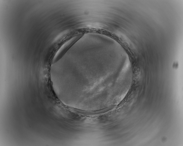 X0000101971110200808151331