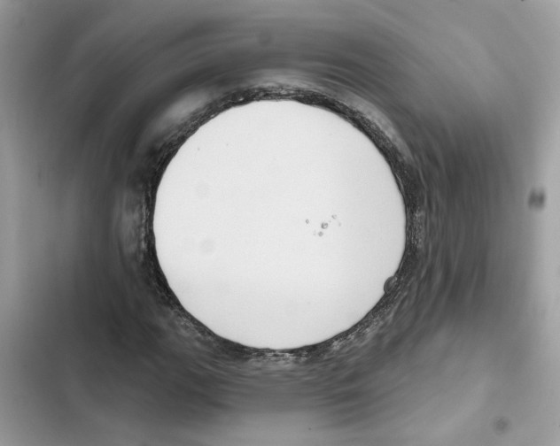 X0000101971111200808151331