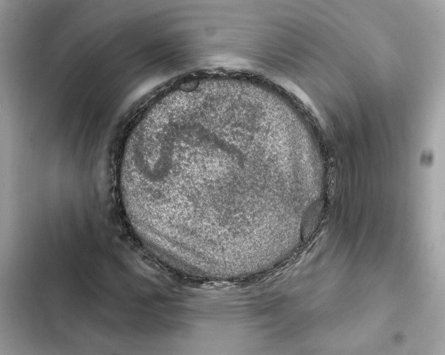 X0000101971112200808151331