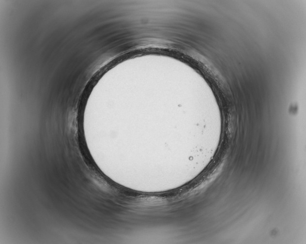 X0000101971113200808151331