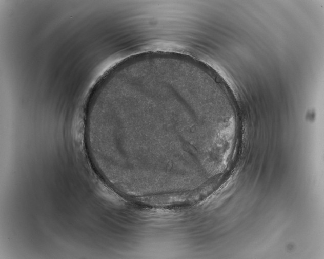 X0000101971115200808151331