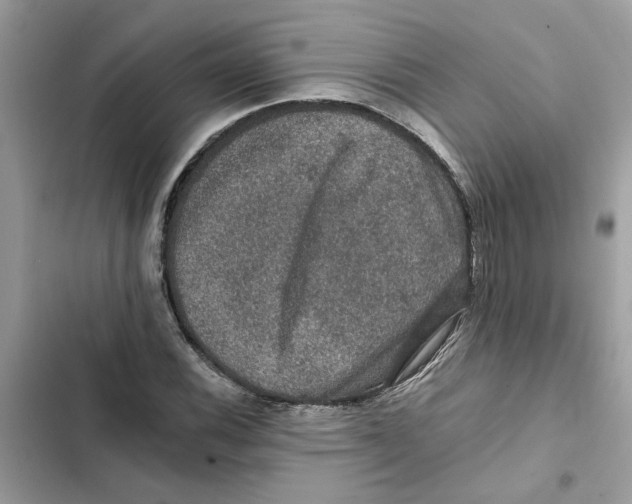 X0000101971116200808151331