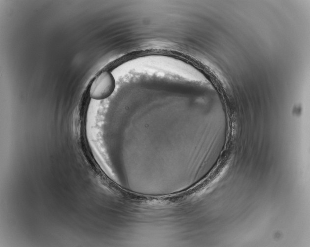X0000101971117200808151331