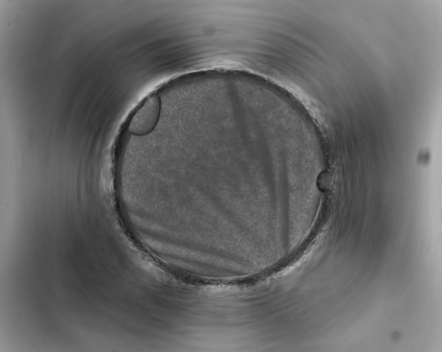 X0000101971118200808151331
