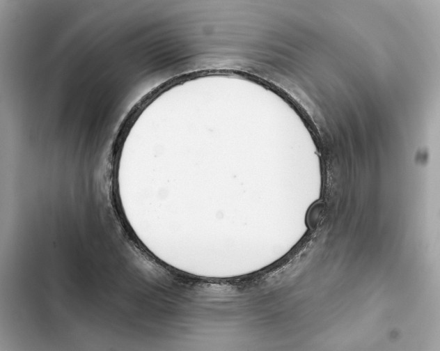 X0000101971119200808151331