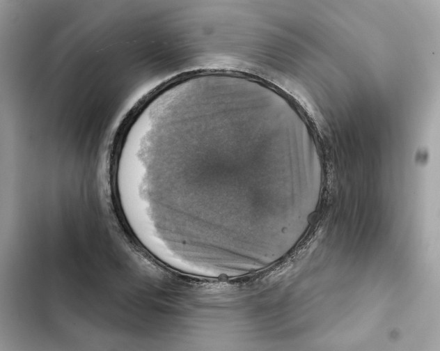 X0000101971120200808151331