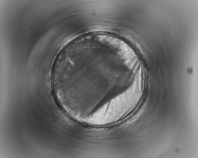 X0000101971121200808151331
