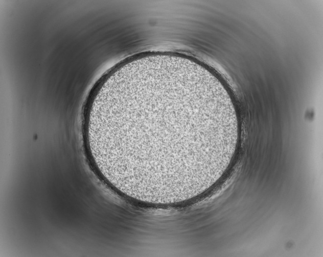X0000101971122200808151331