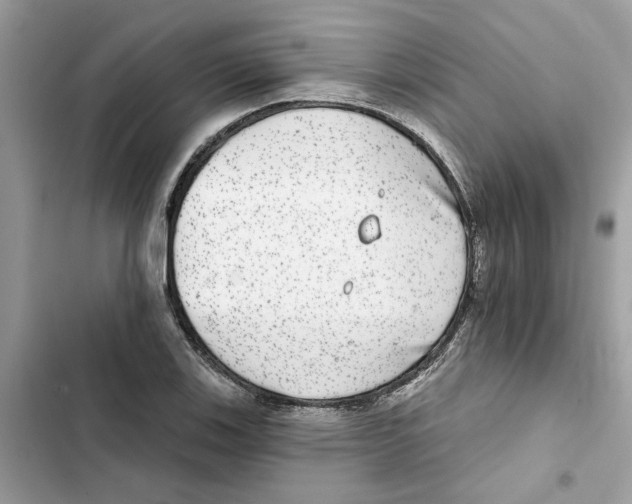 X0000101971123200808151331