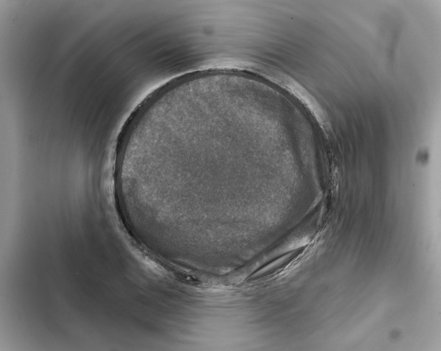 X0000101971124200808151331