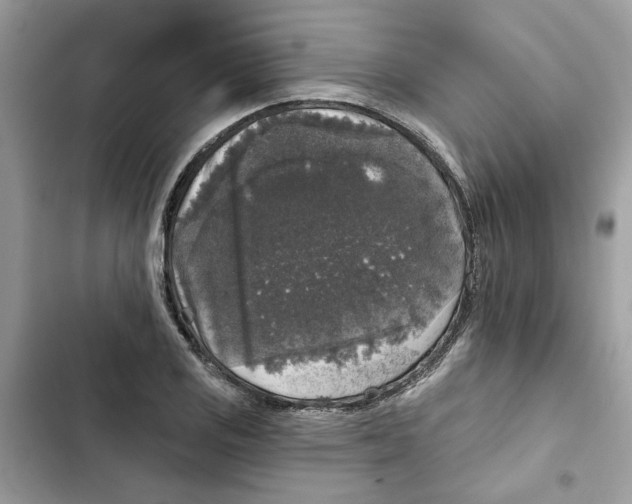 X0000101971125200808151331
