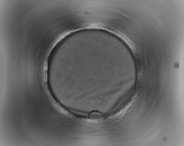 X0000101971126200808151331
