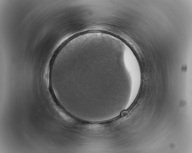 X0000101971127200808151331