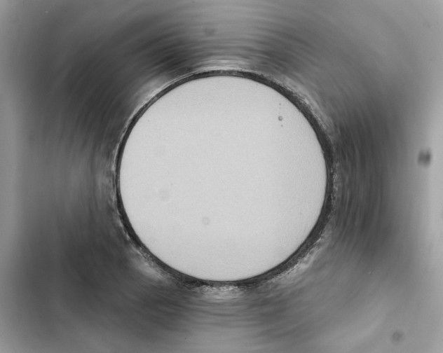 X0000101971129200808151331