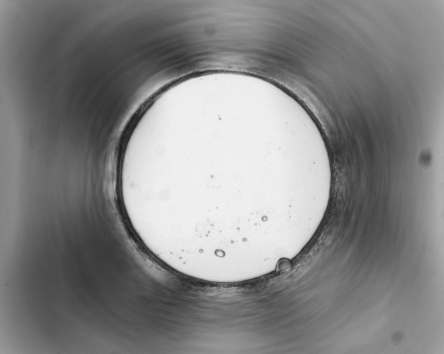 X0000101971131200808151332