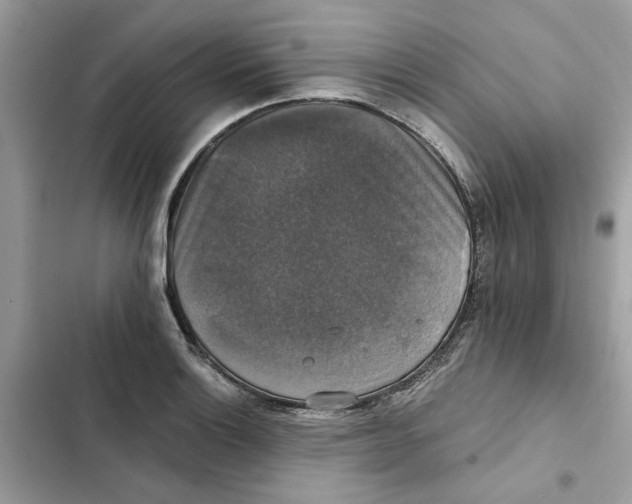 X0000101971132200808151332