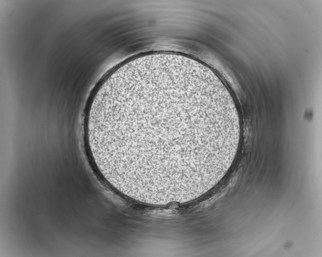 X0000101971133200808151332