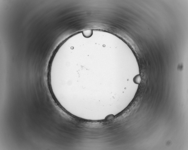 X0000101971135200808151332
