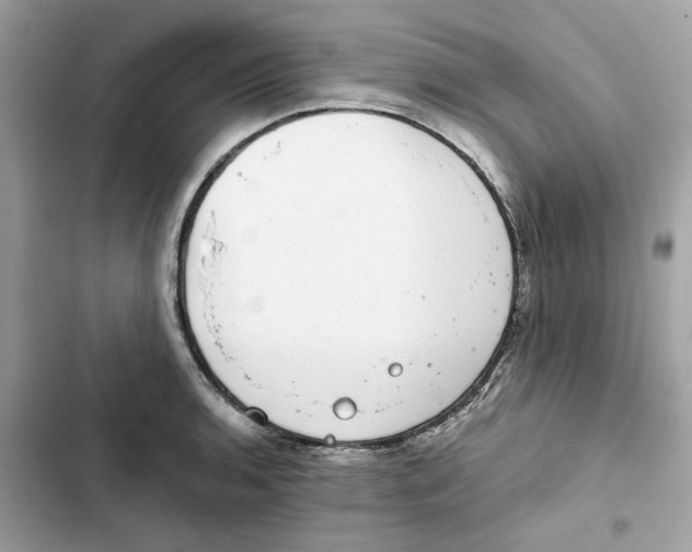 X0000101971136200808151332