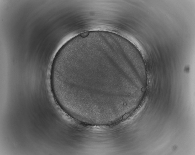 X0000101971138200808151332