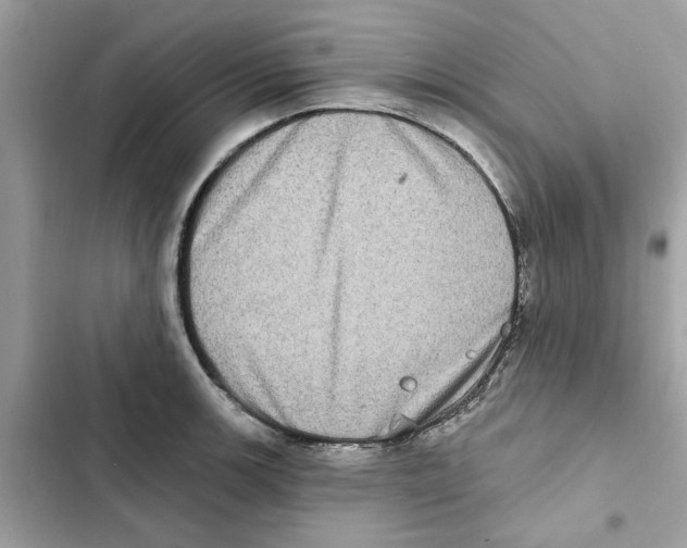 X0000101971139200808151332