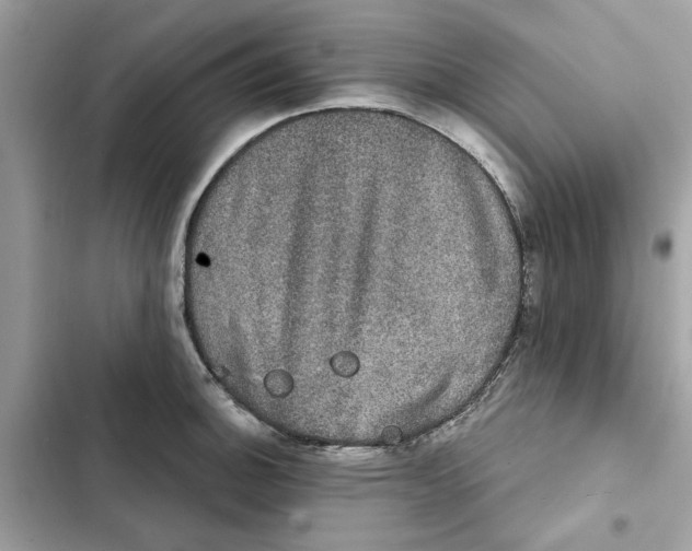 X0000101971140200808151332
