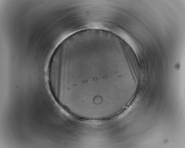 X0000101971141200808151332