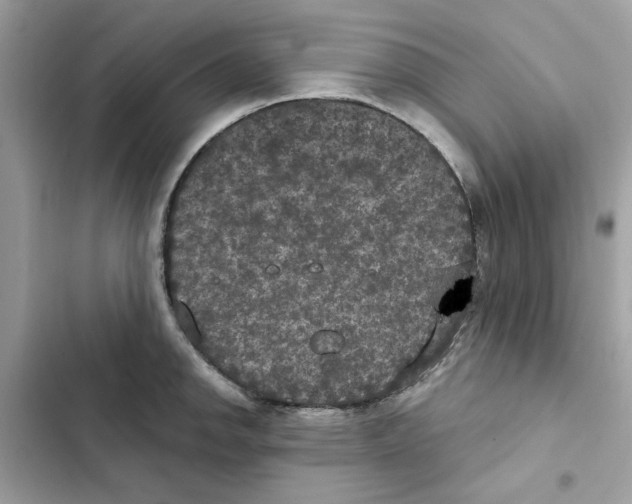 X0000101971142200808151332