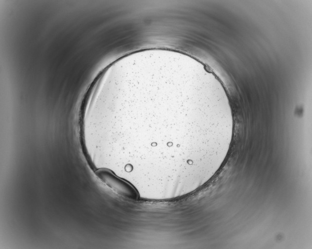 X0000101971143200808151332