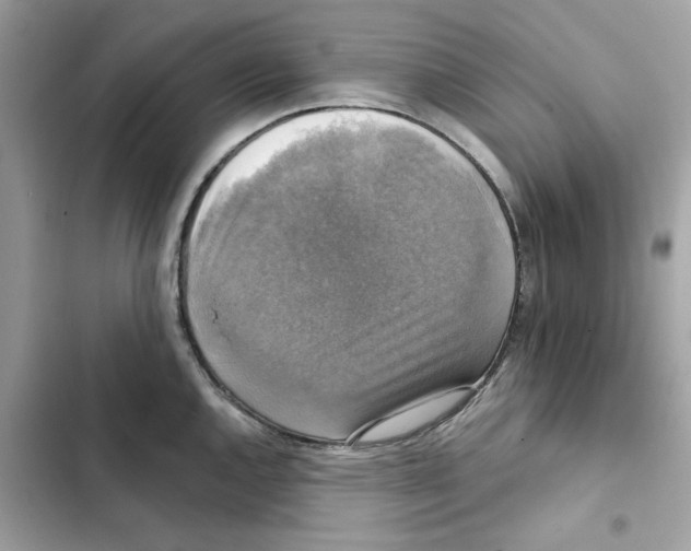 X0000101971144200808151332