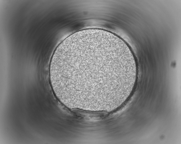 X0000101971145200808151332