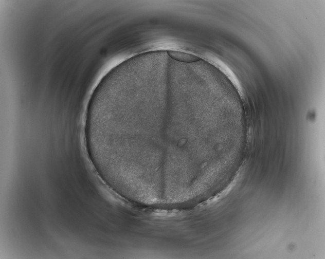 X0000101971146200808151332