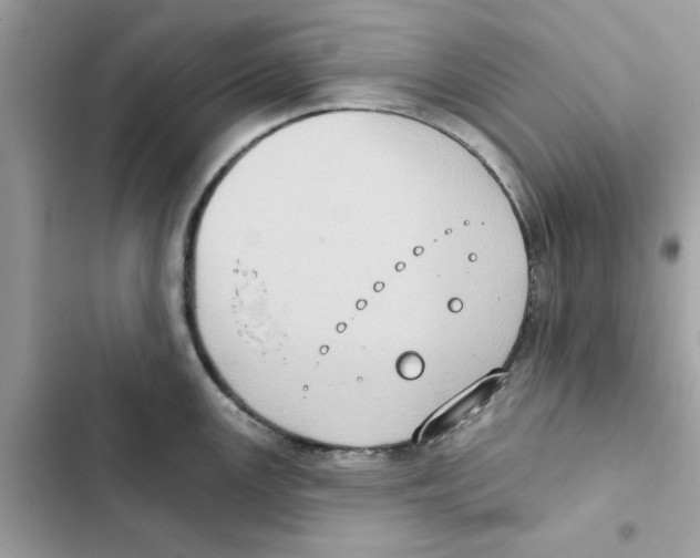 X0000101971147200808151332