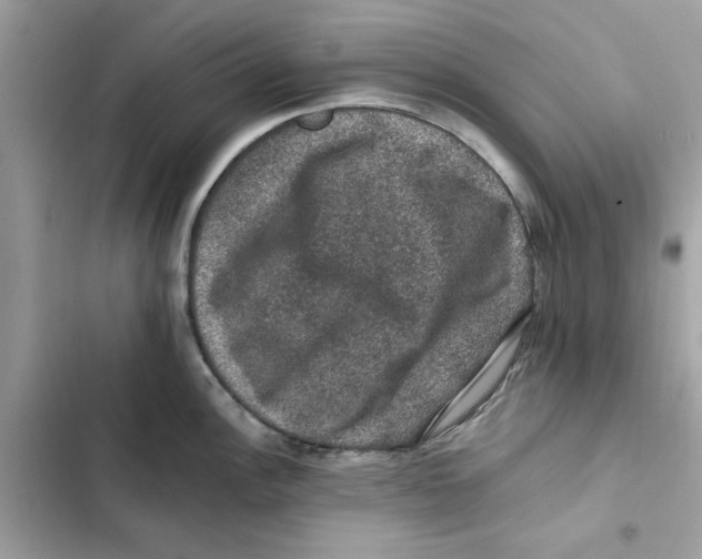 X0000101971148200808151332
