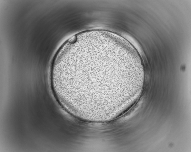 X0000101971149200808151332