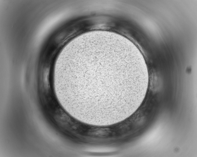 X0000101971150200808151332