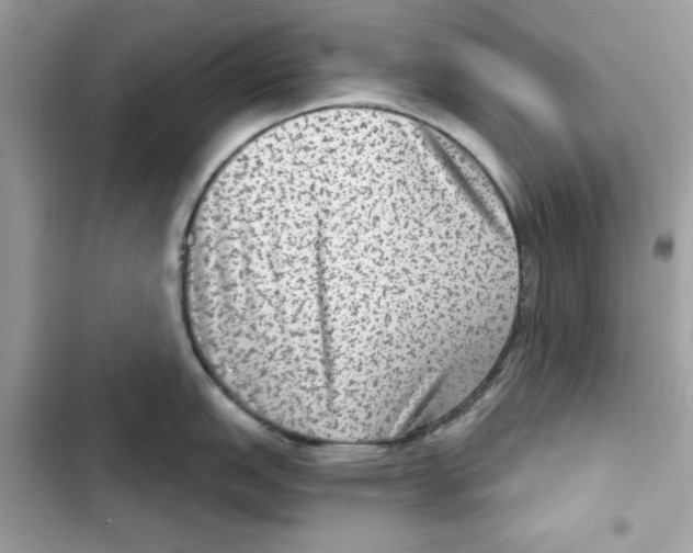 X0000101971151200808151332