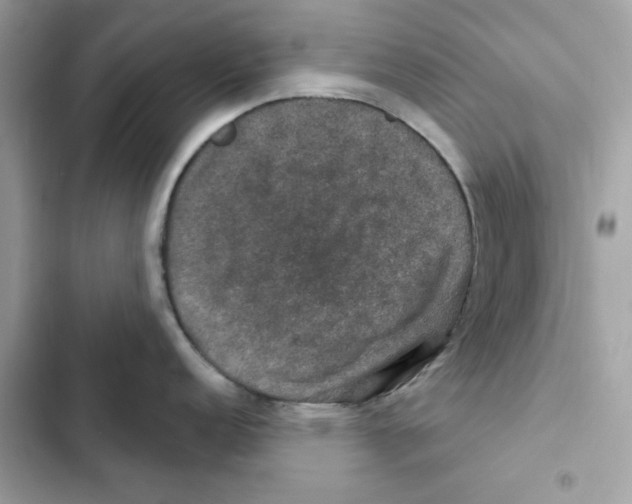 X0000101971152200808151332